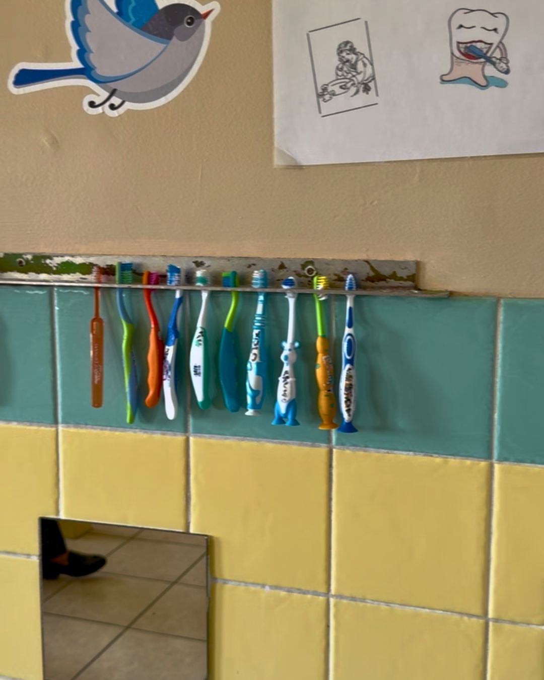 Toothbrushes ready for the kids